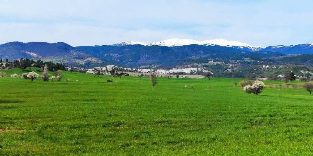 Kartpostal değil gerçek: Gediz bahar güzelliğine büründü 4